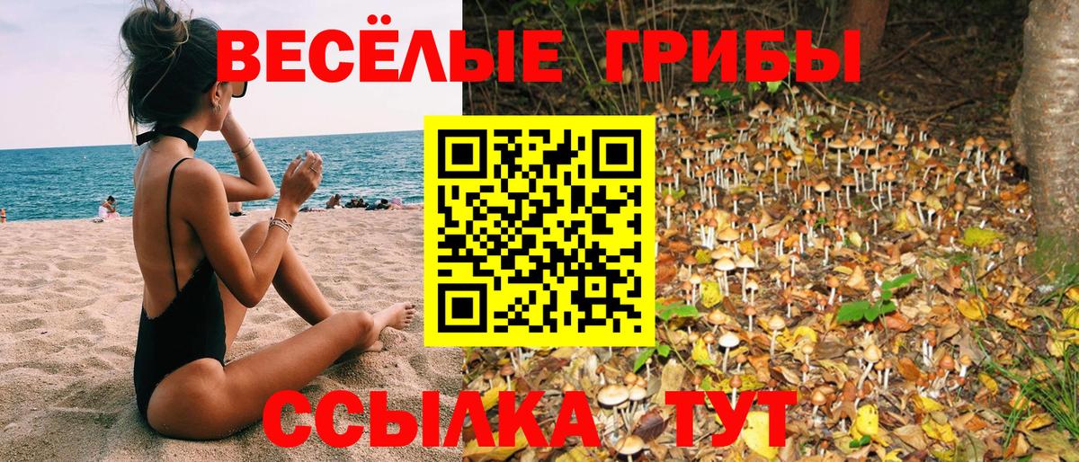 Реж  Галлюциногенные грибы ЛСД  Вход с VPN 